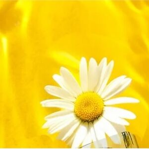 INSTYLE Daisy Inspired Spray